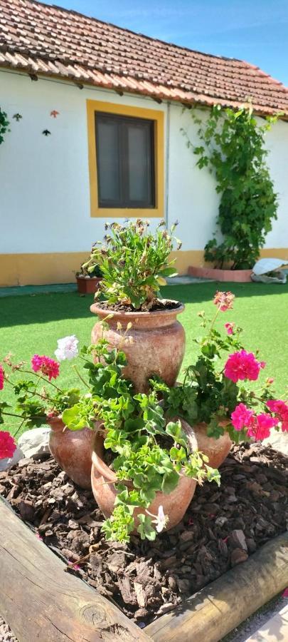 Vila Natura Barreiro  Kültér fotó
