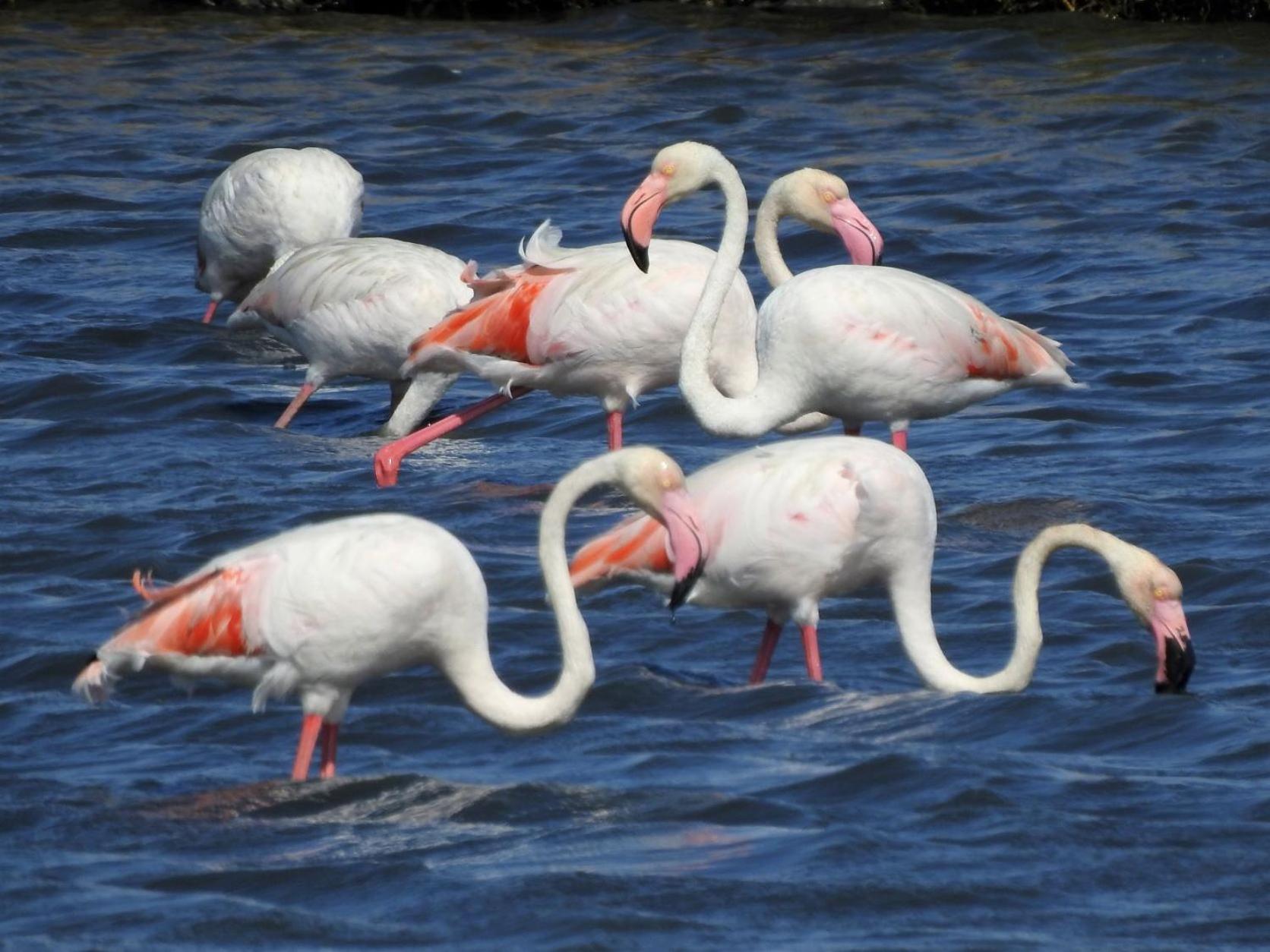 Vila Natura Barreiro  Kültér fotó