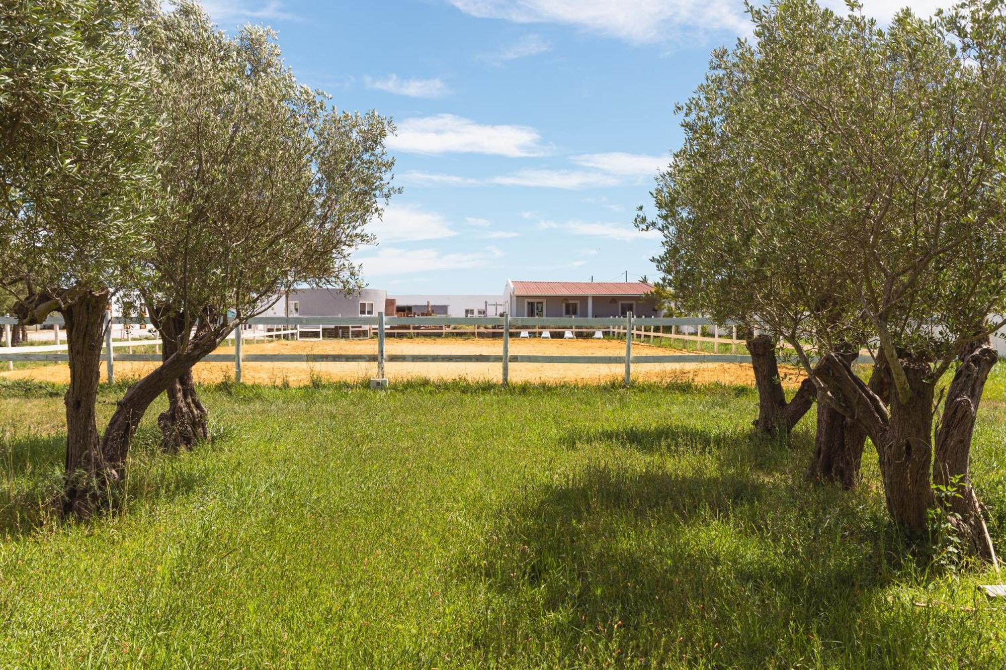 Vila Natura Barreiro  Kültér fotó